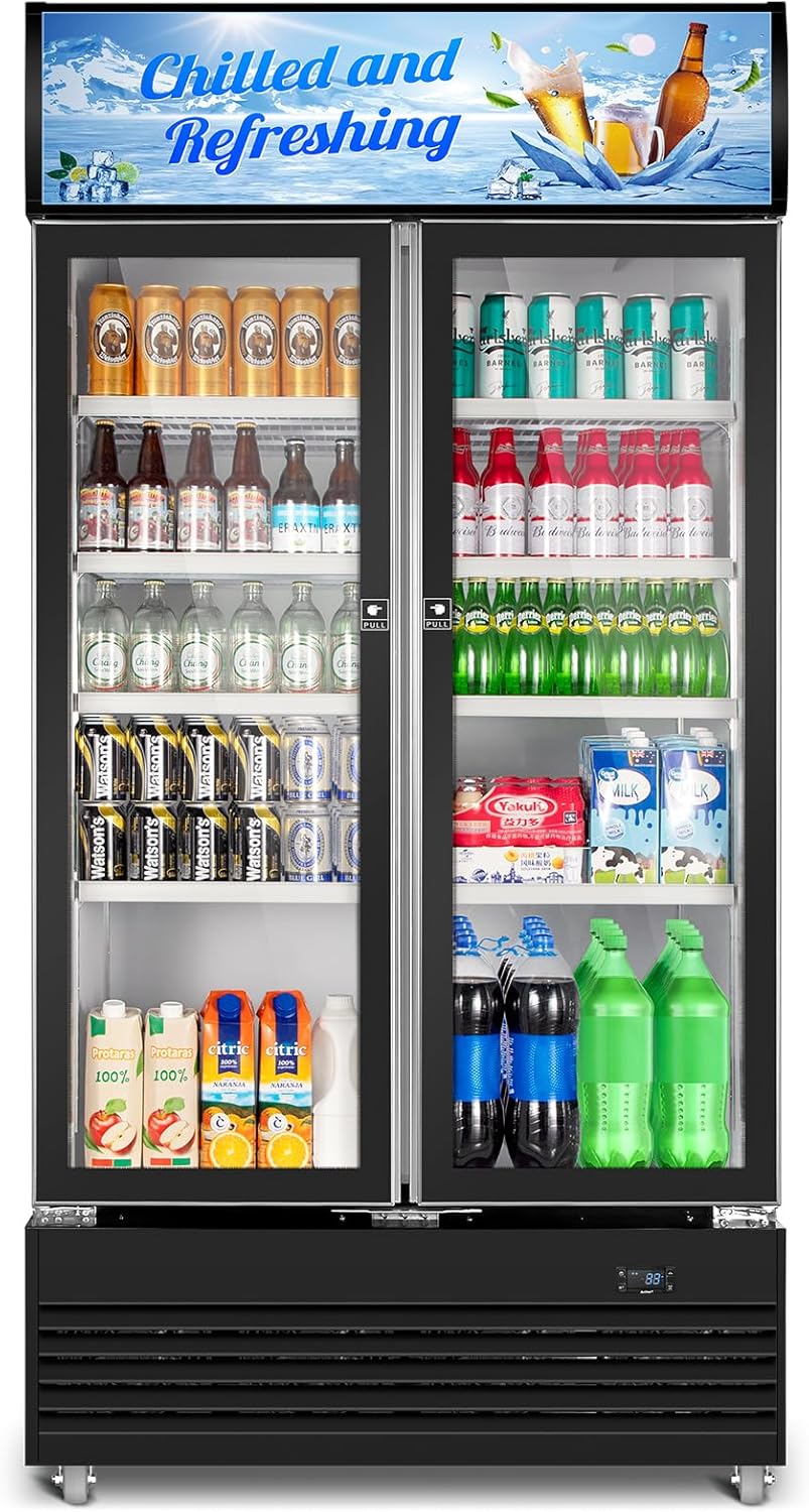 Tylza 24 Inch Wine and Beverage Refrigerator, Dual Zone Wine Beverage Cooler 24" with French Door, Under Counter Wine Beer Fridge Built-In or Freestanding, Holds 20 Bottles and 88 Cans, Black